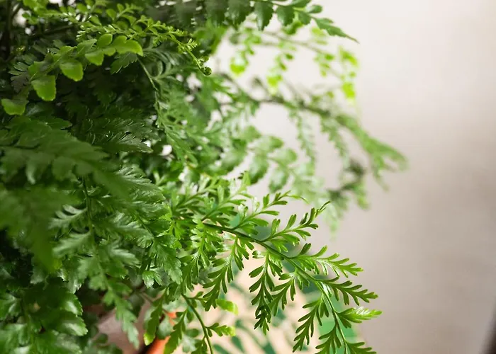 Tatil Evi Home2book La Casita Del Muelle Garachico (Tenerife)